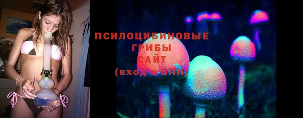 молекула духа Беломорск