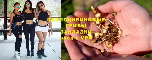 молекула духа Беломорск